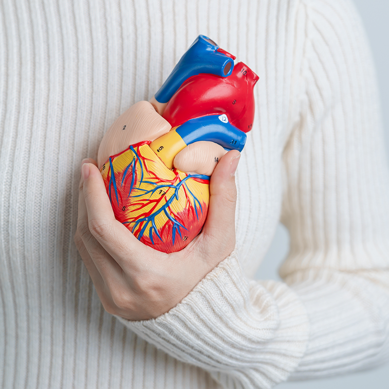 Raffles Healthy Heart Screening